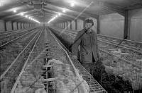 365 Rangárvallasýsla 07 (2).jpg