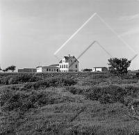 ÓSS 005 080 1-1.jpg