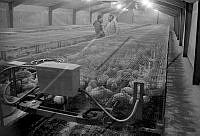 365 Rangárvallasýsla 01 (2).jpg