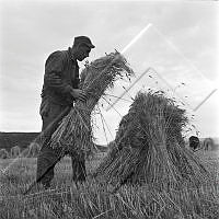 ÓKM 067 132 3-1.jpg