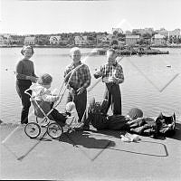 ÓKM 064 126 4-2.jpg