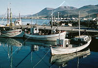 GRÓ 019 015 1-4.jpg