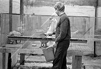 365 Skaftafellssýsla 42.jpg