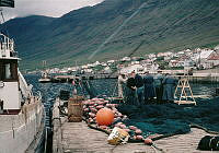 GRÓ 019 015 5-2.jpg