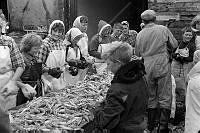 ÓKM 060 335 6-2.jpg