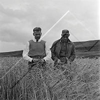 ÓKM 067 132 1-1.jpg