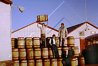 2012 16 004 4-3.jpg