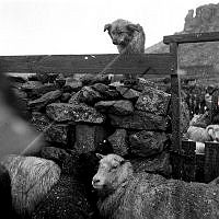 ÓKM 063 136 2-1.jpg