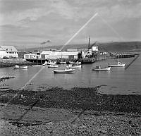 ÓSS 007 031 2-2.jpg