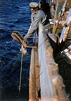 GRÓ 019 018 5-3.jpg