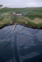 365 Viðey 18.jpg