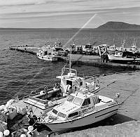 ÓSS 006 002 4-1.jpg