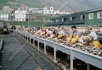 GRÓ 019 016 1-2.jpg