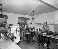 PTH 054 034 2-2.jpg