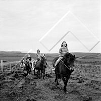 ÓKM 064 130 3-1.jpg