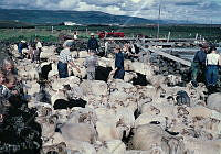 GRÓ 019 018 3-3.jpg