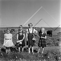 ÓKM 067 130 1-1.jpg