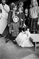 ÓKM 062 231 3-1.jpg