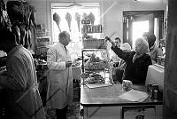 ÓKM 062 066 2-3.jpg