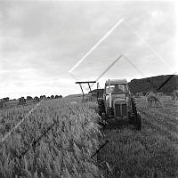 ÓKM 067 132 1-2.jpg