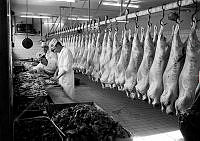 ÓKM 062 066 1-4.jpg