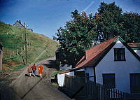 GRÓ 019 012 3-1.jpg