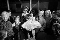 ÓKM 062 231 3-3.jpg