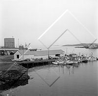 ÓSS 006 003 1-2.jpg