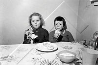 ÓKM 062 049 5-2.jpg