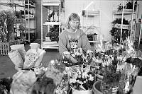 JIM 028 079 4-6.jpg
