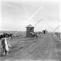 ÓKM 065 059 2-2.jpg