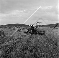 ÓKM 067 132 1-3.jpg