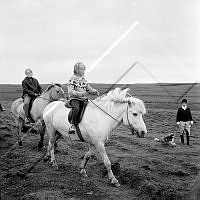 ÓKM 064 130 3-2.jpg