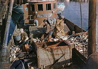 GRÓ 019 018 5-2.jpg