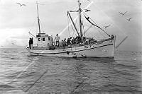 ÓKM 060 329 4-3.jpg