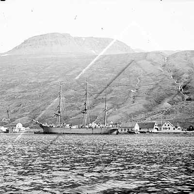 INS 08