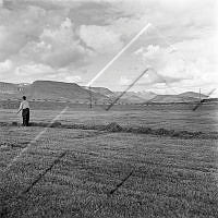 ÓKM 055 093 3-3.jpg