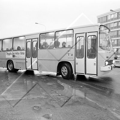 365 bílar strætisvagnar 03