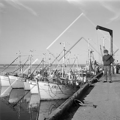 KID 001 038 2-2