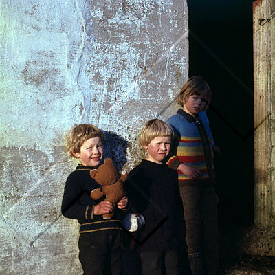 IHB 001 121 1-1.jpg