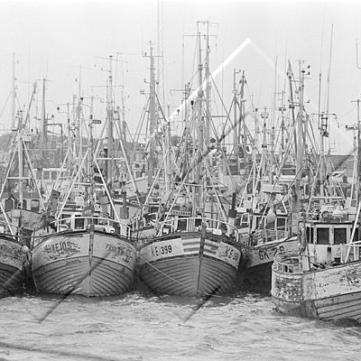 365 Sandgerði 015 14