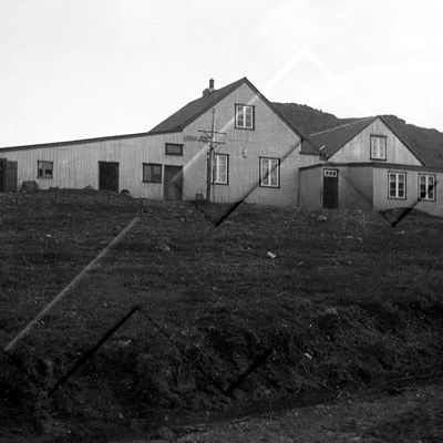 1997 239 003 4-2.jpg