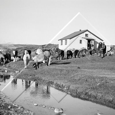 EYH 003 003 2-2.jpg