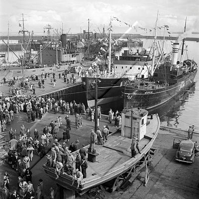 VIG 0185 11