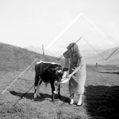 JÓJ 001 035 3-1