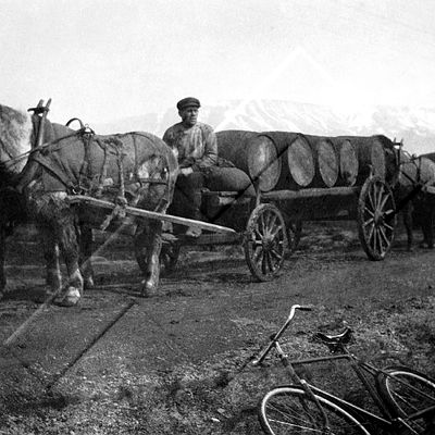 BRÁ ÁBS 023 2-1.jpg