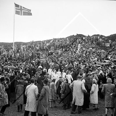 VIG 0195 004 4-3