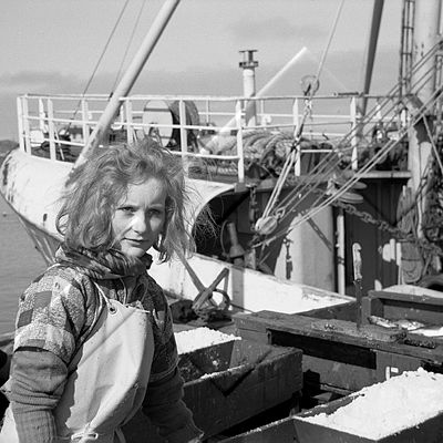 ÞJV 022 031 2-1