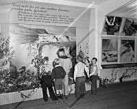ÓKM 052 029 2-1.jpg