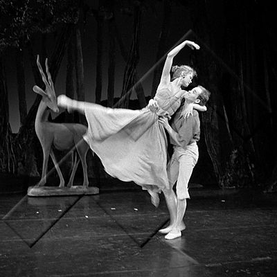 365 dans ballett 11